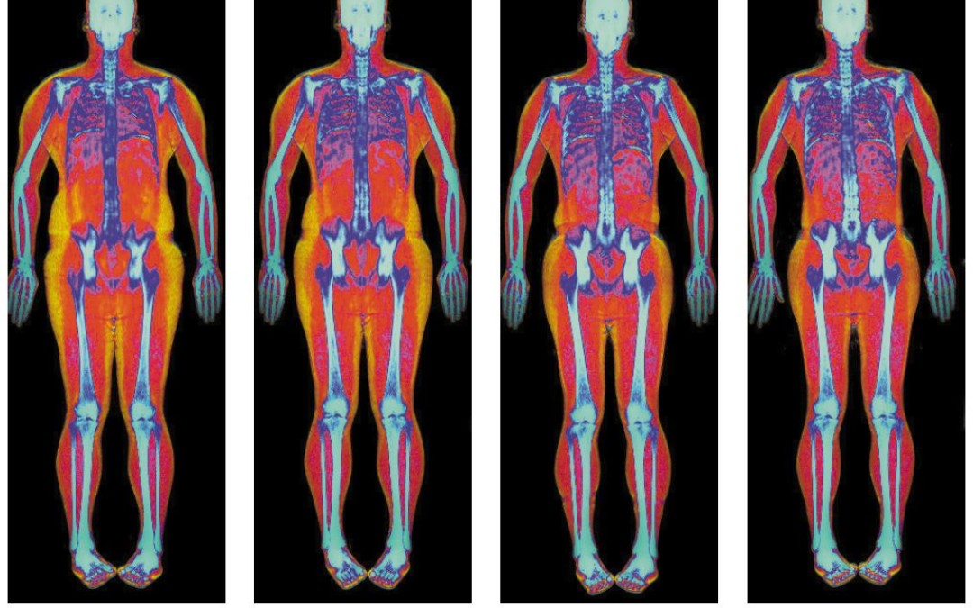 PERDER GRASA Y GANAR MÚSCULO