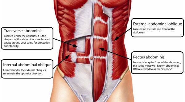Como hacer la plancha abdominal