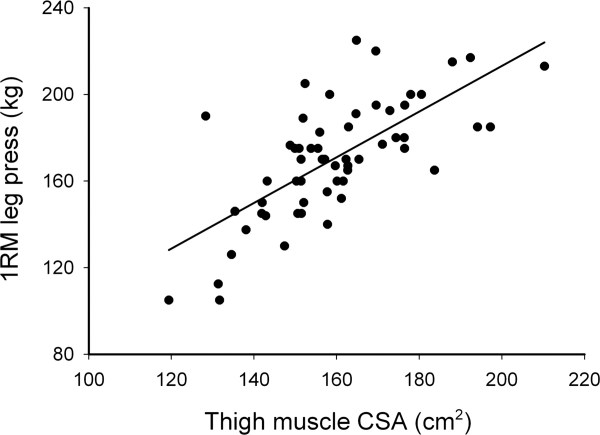 Más musculo más fuerza