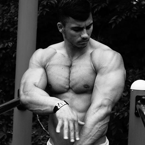 Los mejores atletas de calistenia y fitness de instagram