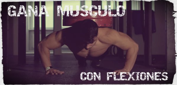 Flexiones o lagartijas como ejercicio constructor de músculo en pecho, hombro y tríceps