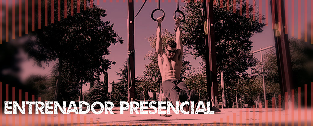 Profesor de calistenia en madrid