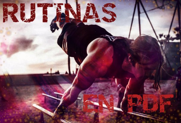 Rutinas y ejercicios de calistenia en PDF
