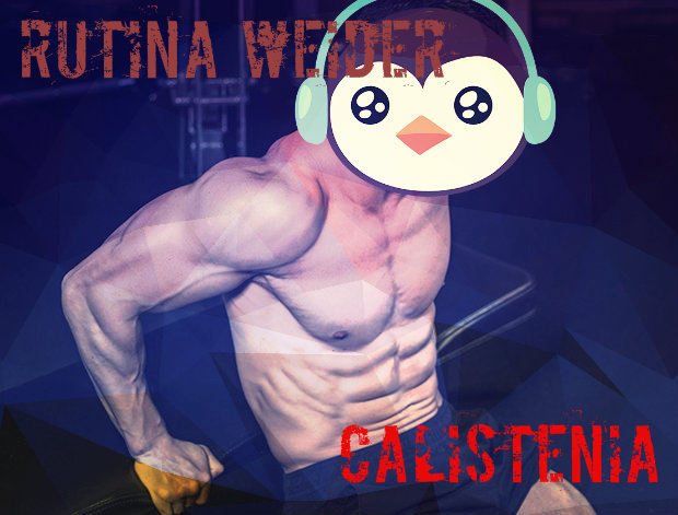 Rutina weider o dividida (bro split) de calistenia