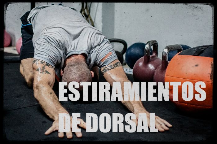 Los mejores estiramientos de dorsal ancho
