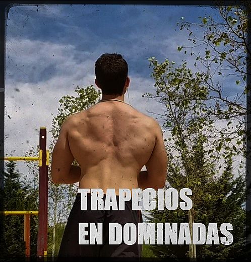 Ejercicios de trapecios con el peso del cuerpo