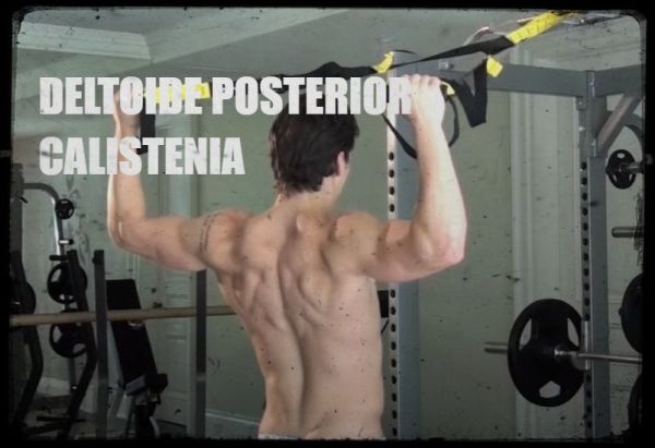 Mejores ejercicios de deltoides posterior en casa