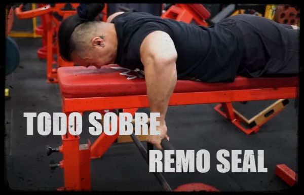 SEAL ROW - técnica, músculos implicados, beneficios y alternativas.