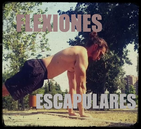 Flexiones escapulares: beneficios, técnica y músculos implicados