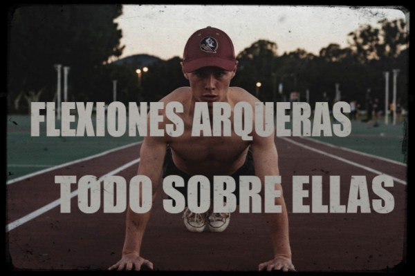 Lagartijas archer, todo lo que necesitas saber